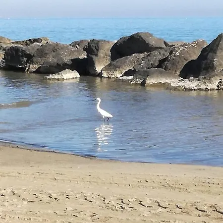 Apartman A Casa Minerva Rimini