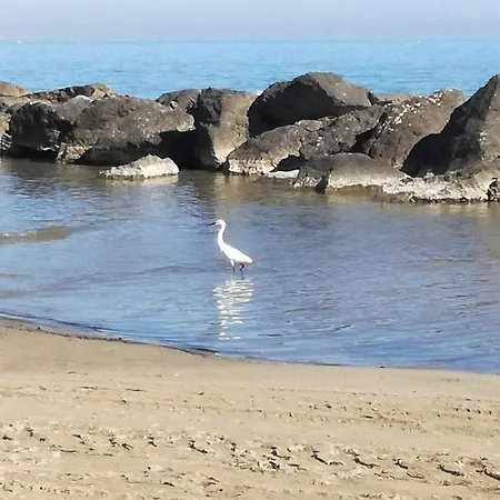 아파트 A Casa Minerva 리미니