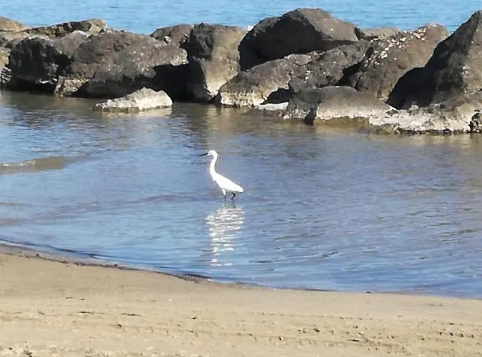 Appartamento Minerva Rimini